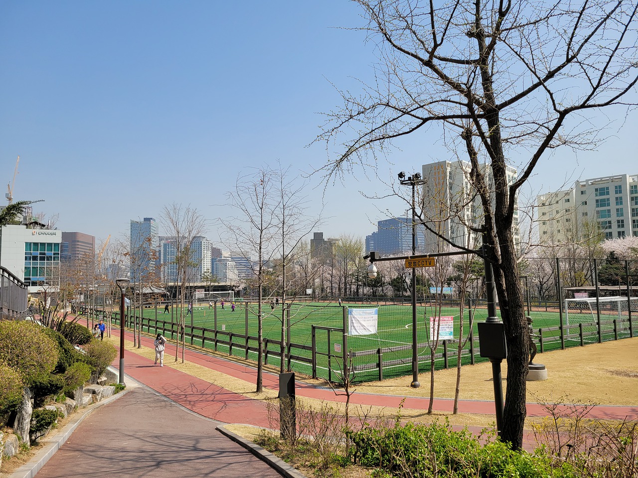 新审视阵容