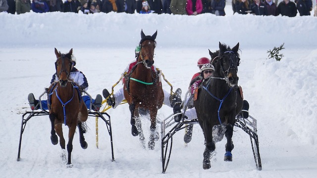 但也引来了 但也引来了