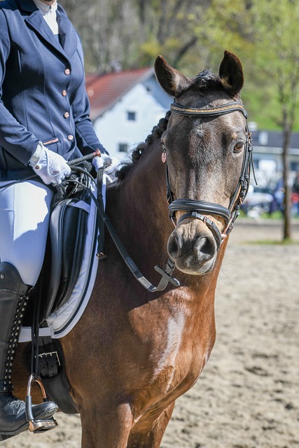 對於普通人 對於普通人