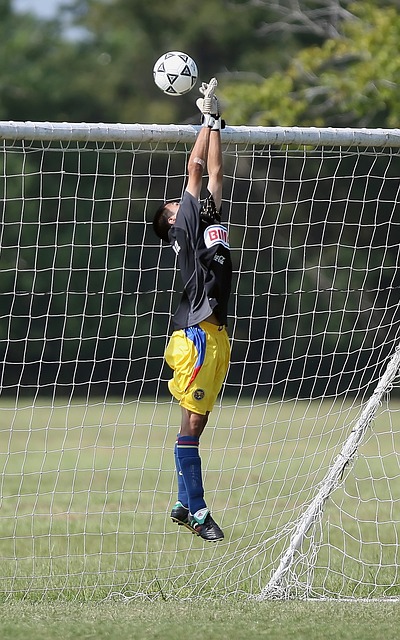 整体实力 整体实力