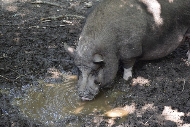 他加入了校 他加入了校