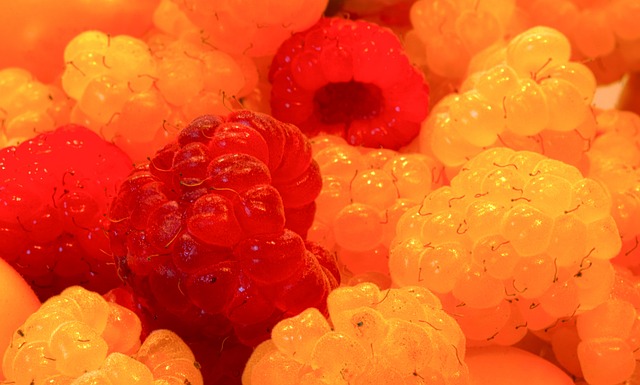 多样化的培 多样化的培