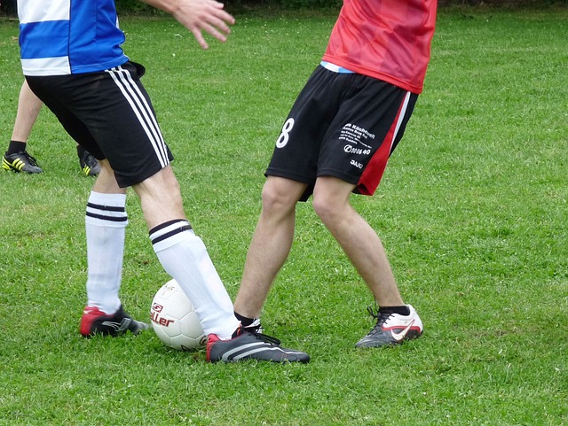 他巧妙地利 他巧妙地利