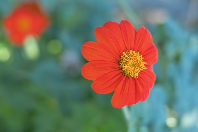 分析市场需 分析市场需