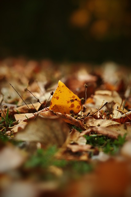 为热爱运动 为热爱运动