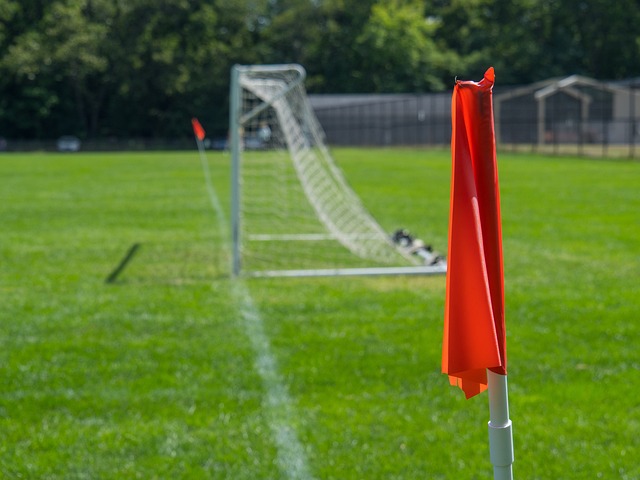 在这一背景 在这一背景