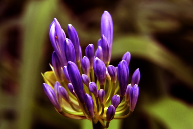 足球熱話︱曼聯主場奧脫福驚傳鼠患　衛生評分被貶至第二最低級別.