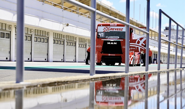 无疑让森林 无疑让森林